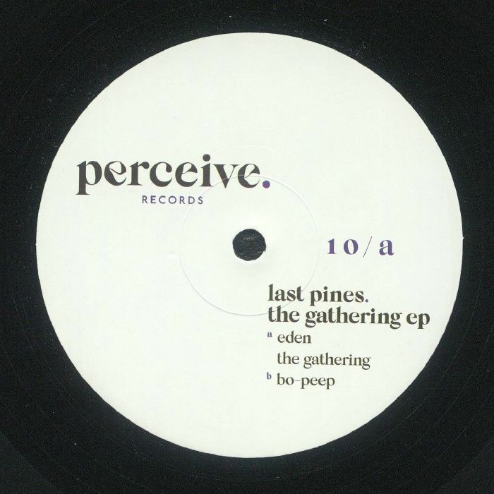 Perceive Vinyl