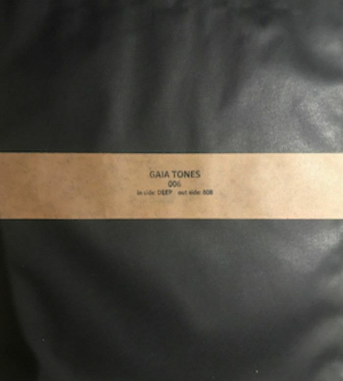 Gaia Tones Vinyl