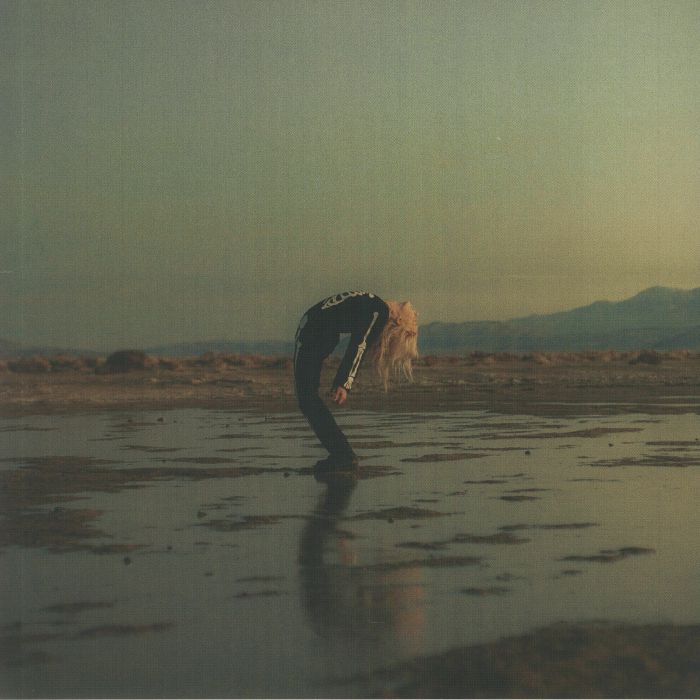 Phoebe Bridgers | Rob Moose – Copycat Killer vinyl cover