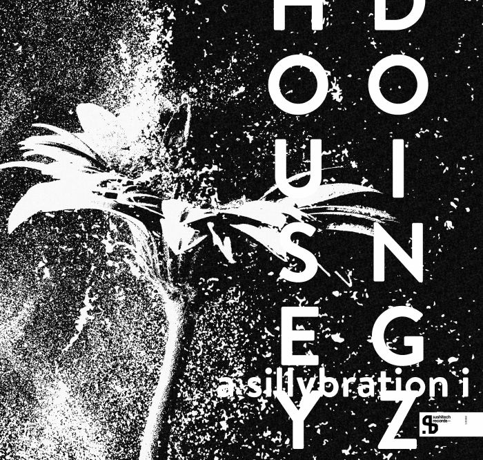 Housey Doingz – A Sillybration I vinyl cover