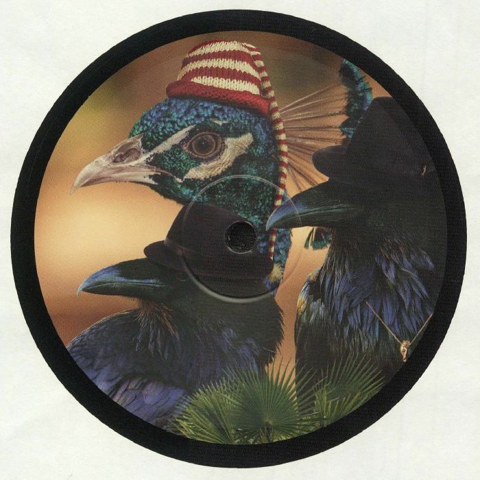 Tom Ries | Birdsmakingmachine Bird Gang
