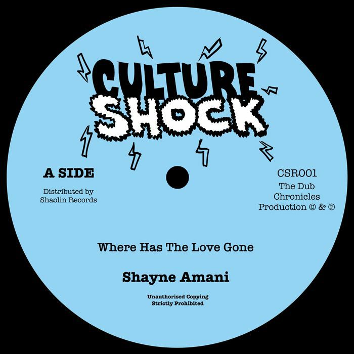 Shayne Amani Where Has The Love Gone