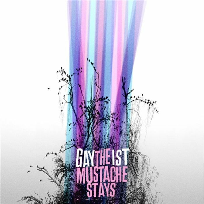 Gaytheist – The Mustache Stays vinyl cover