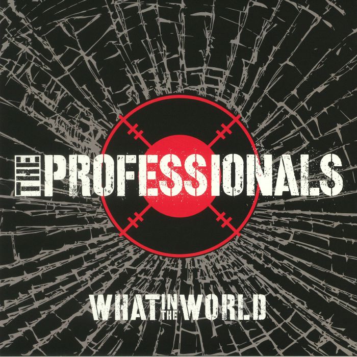 The Professionals What In The World
