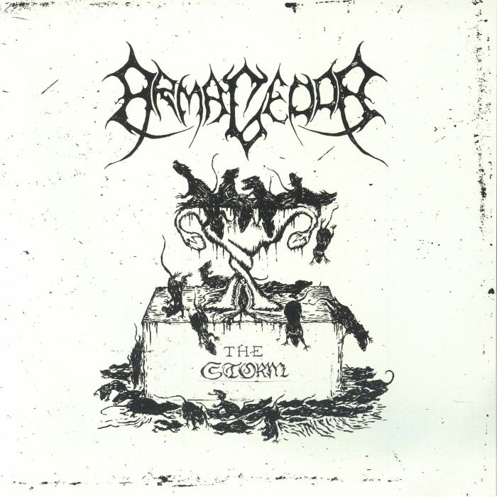 Armagedda – The Storm vinyl cover