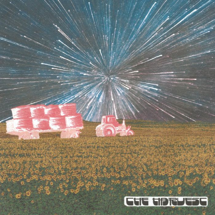 Lemon Lemon The Harvest