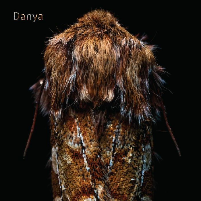 Danya Vinyl