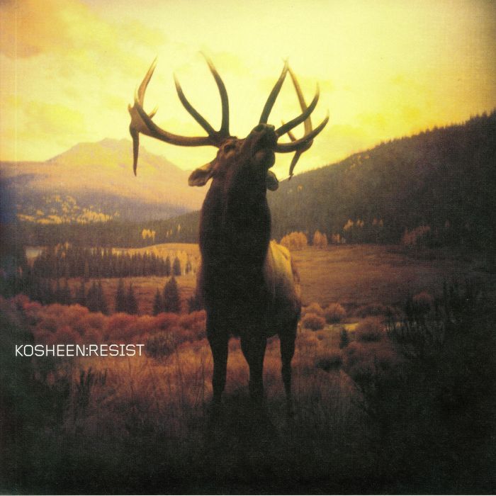 Kosheen – Resist vinyl cover