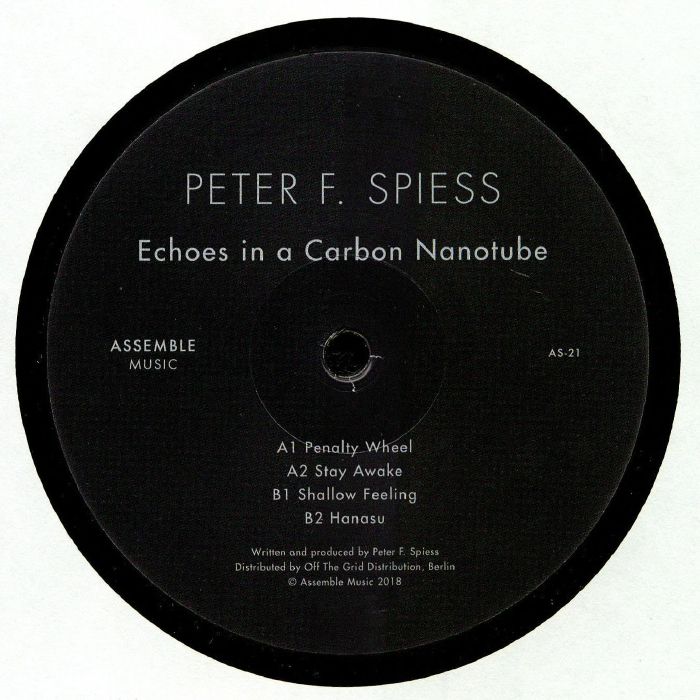 Peter F Spiess Echoes In A Carbon Nanotube