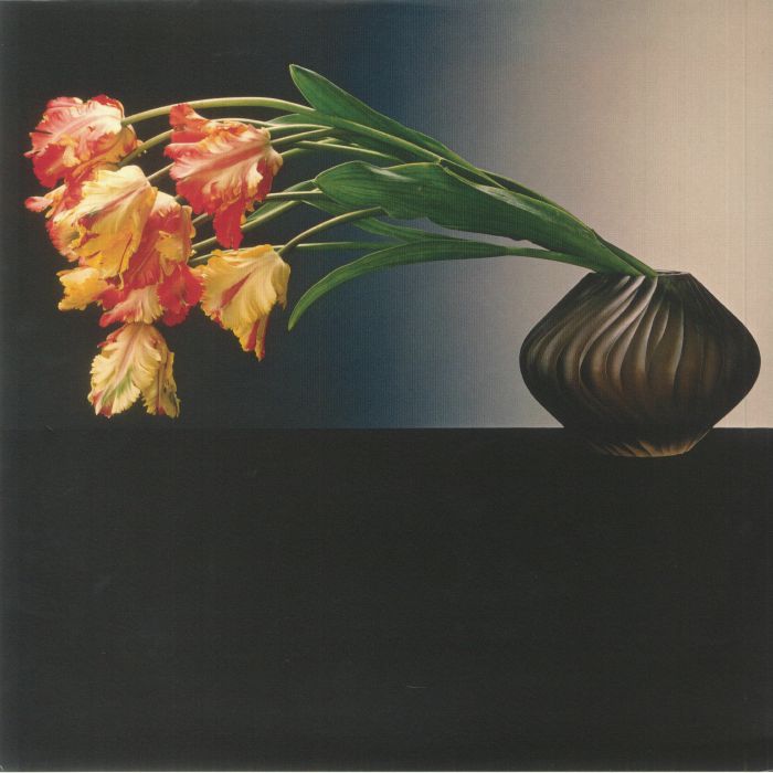 Wirski MISBHV 004