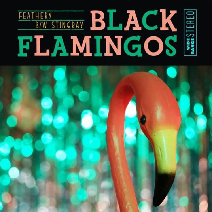 Black Flamingos Vinyl