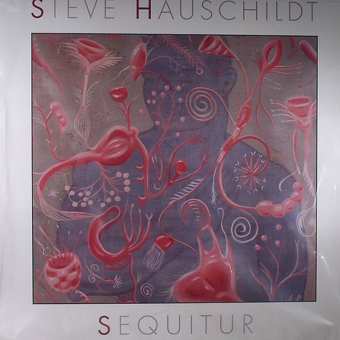 Steve Hauschildt Sequitur
