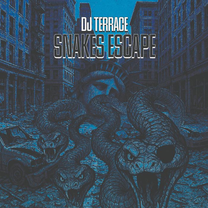 DJ Terrace – Snakes Escape vinyl cover