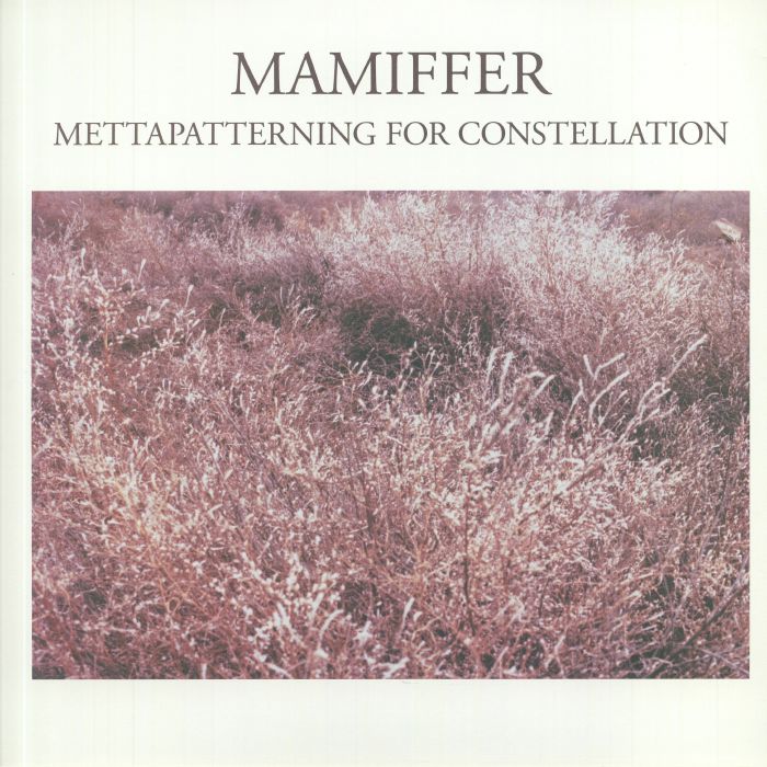 Mamiffer Mettapatterning For Constellation