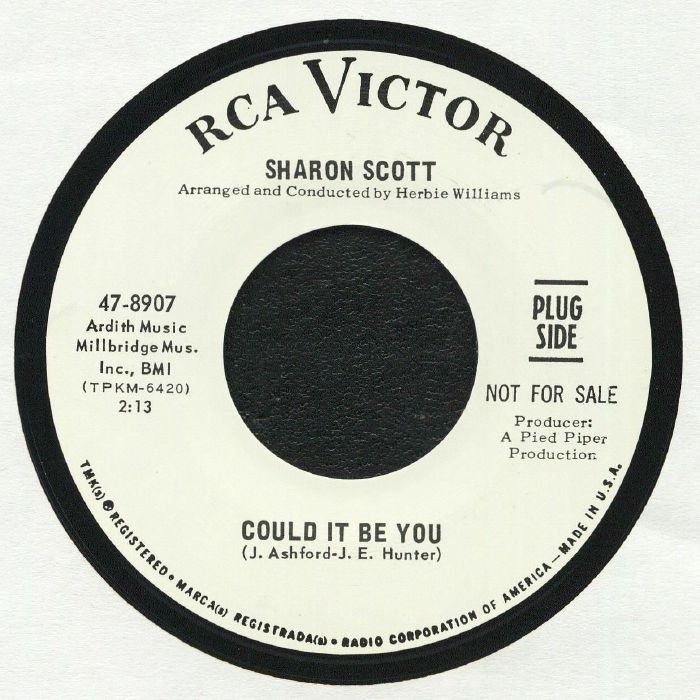 Sharon Scott | Dean Courtney Could It Be You