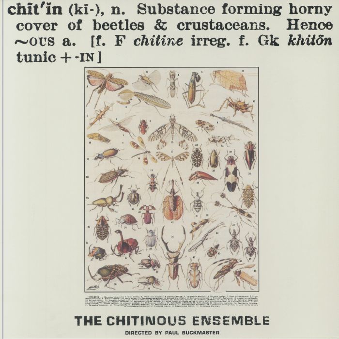 Paul Buckmaster | The Chitinous Ensemble Chitinous