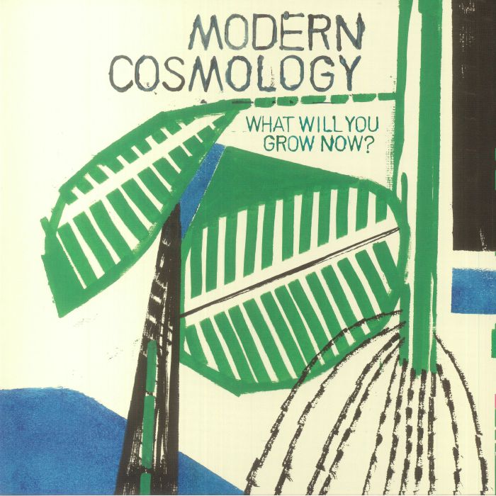 Modern Cosmology What Will You Grow Now