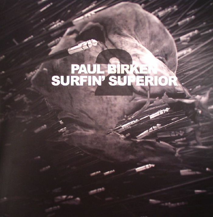 Paul Birken Surfin Superior 2
