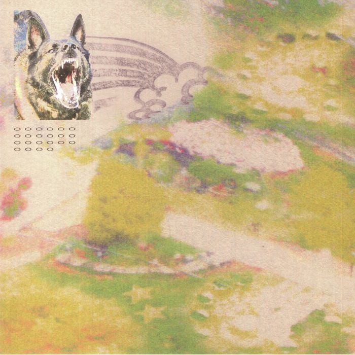 Feeble Little Horse – Girl With Fish vinyl cover
