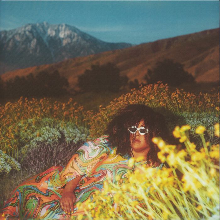Brittany Howard – What Now vinyl cover