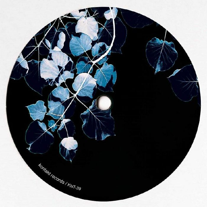 Bluetrain | Steve Osullivan – Frozen Rose vinyl cover