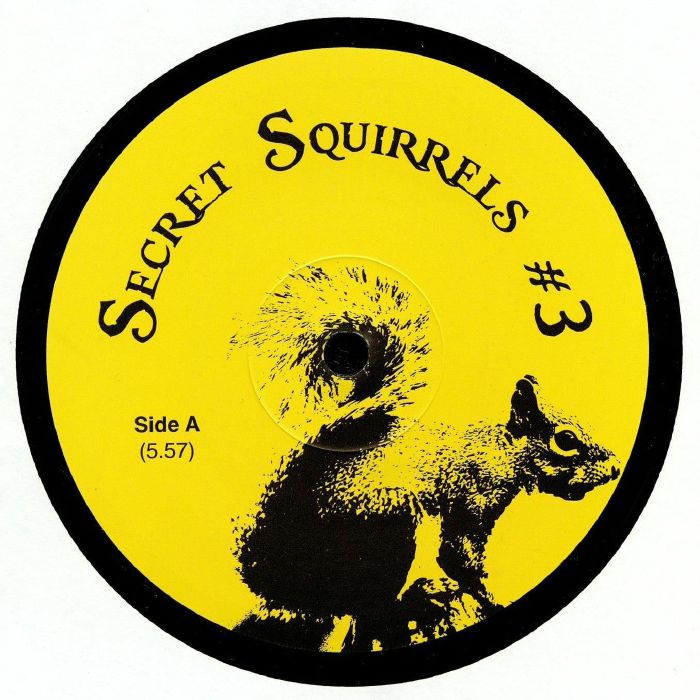 Secret Squirrel Secret Squirrels  3