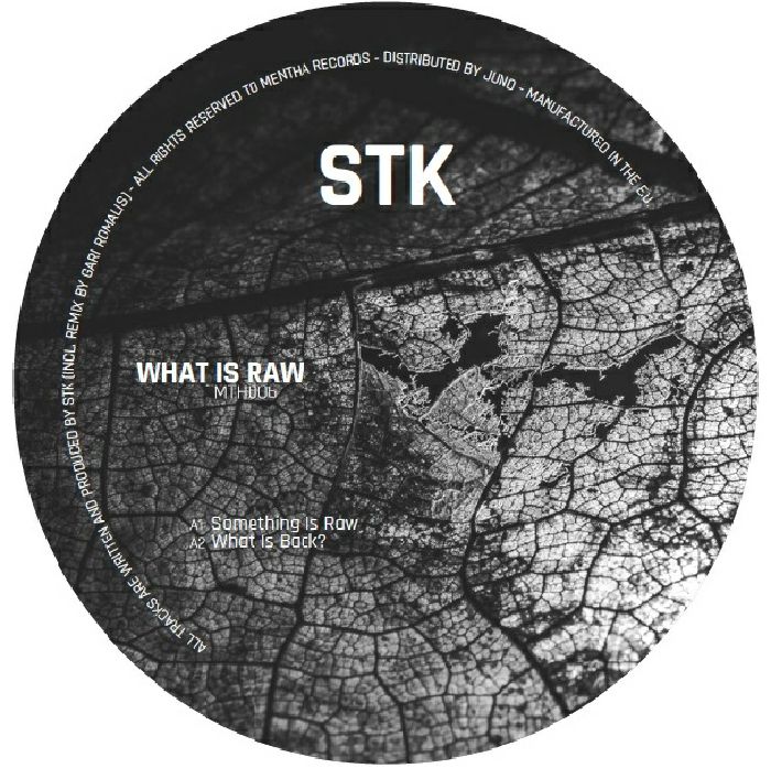 Stk What Is Raw (feat Gari Romalis mix)