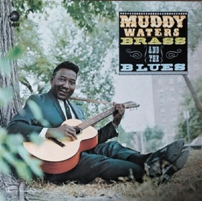 Muddy Waters Muddy Brass and The Blues