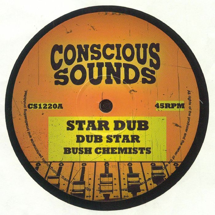 Conscious Sounds Vinyl