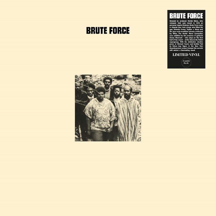 Brute Force Vinyl