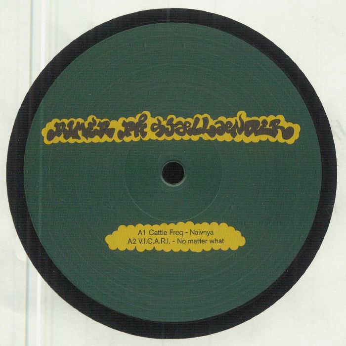 Rvz Vinyl