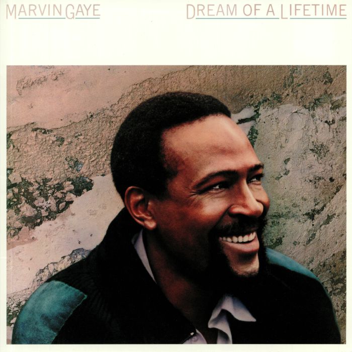 Marvin Gaye Dream Of A Lifetime