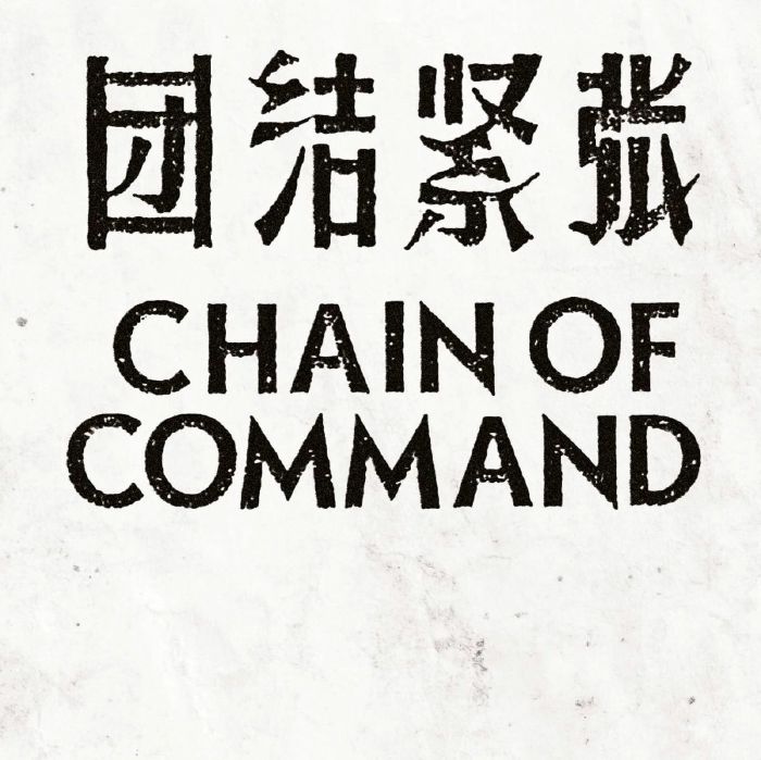Chain Of Command Some Aspects