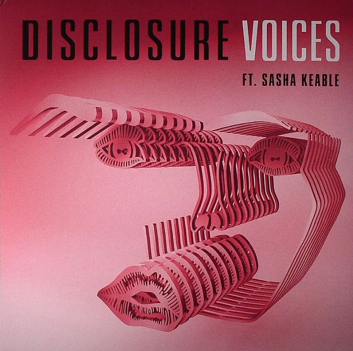 Disclosure | Sasha Keable Voices