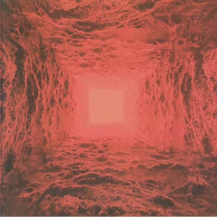 Haunted Plasma – I vinyl cover