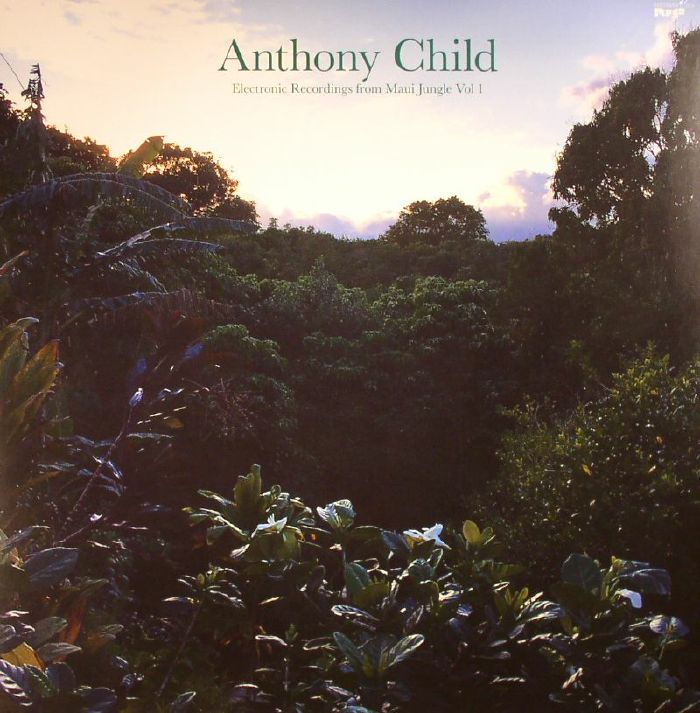 Anthony Child Electronic Recordings From Maui Jungle Vol 1