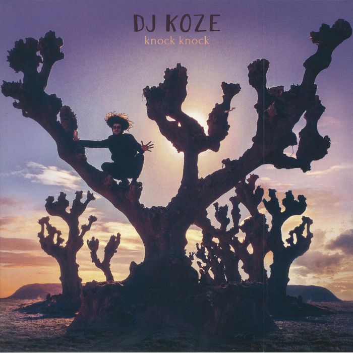 DJ Koze – Knock Knock vinyl cover