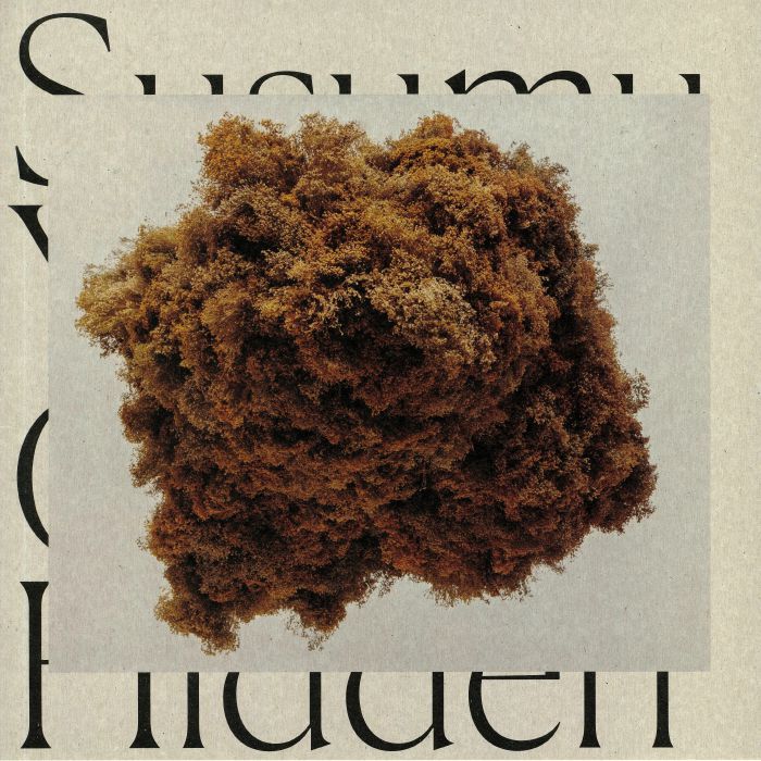 Susumu Yokota – Cloud Hidden vinyl cover