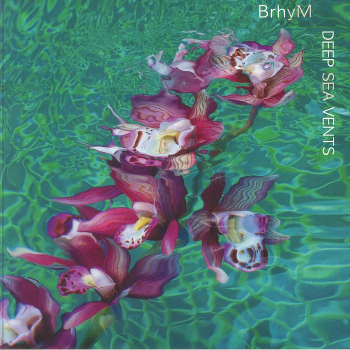 Brhym Vinyl