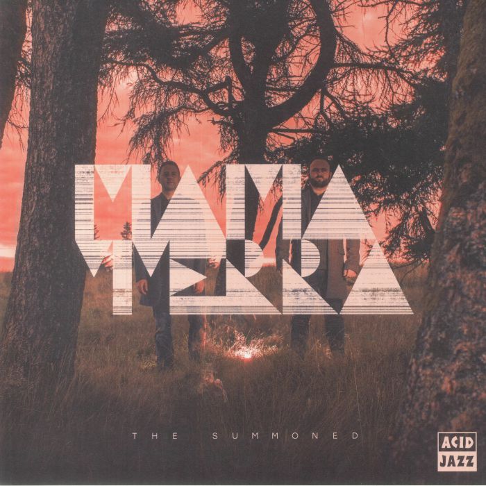 Mama Terra Vinyl