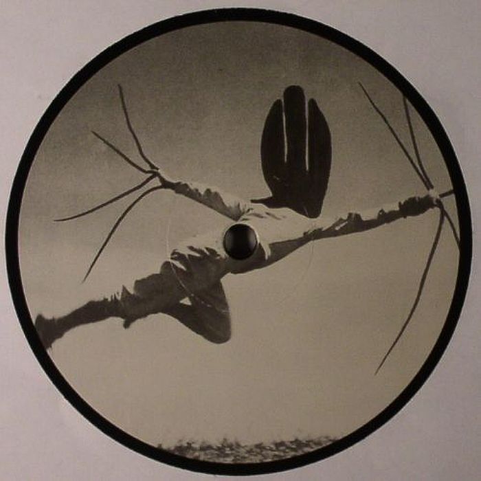 Iasi Vision EP