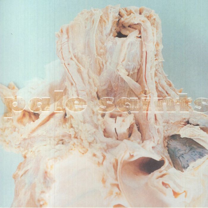 Pale Saints – In Ribbons (30th Anniversary Edition) vinyl cover