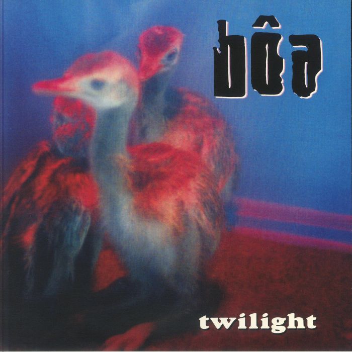 Boa Twilight