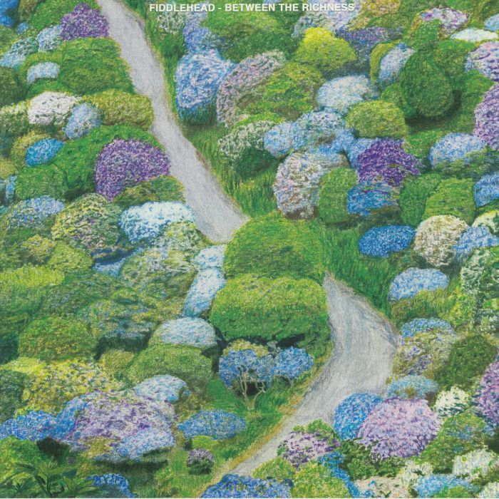 Fiddlehead – Between The Richness vinyl cover