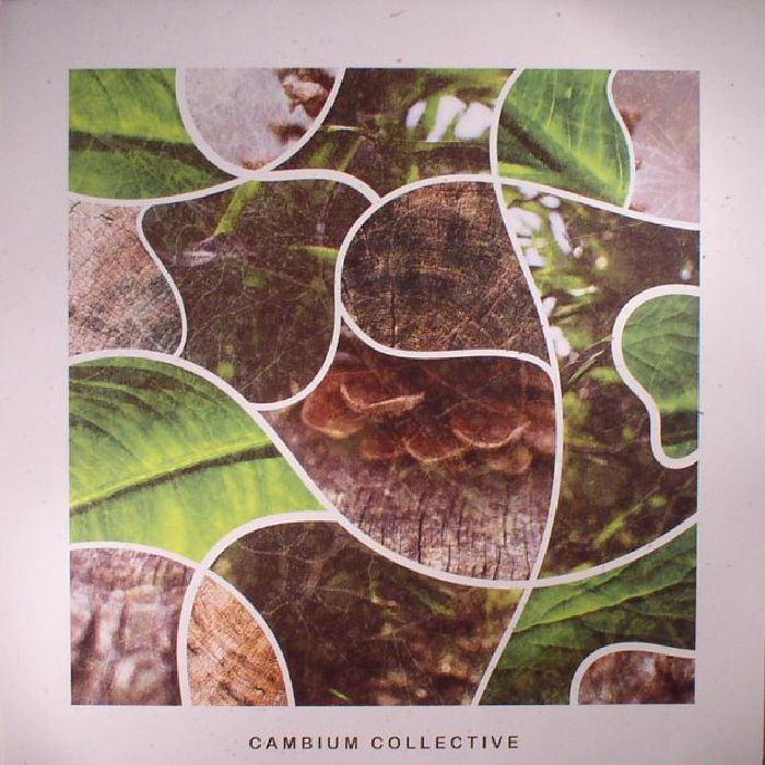 Cambium Collective Vinyl