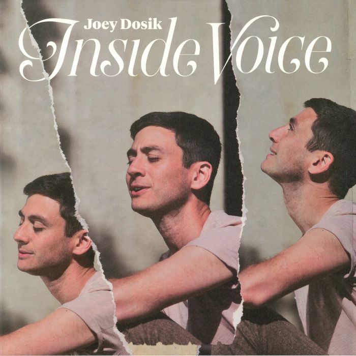 Joey Dosik Inside Voice