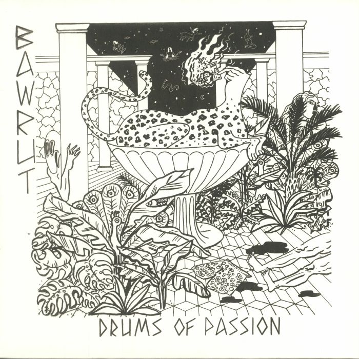 Bawrut Drums Of Passion