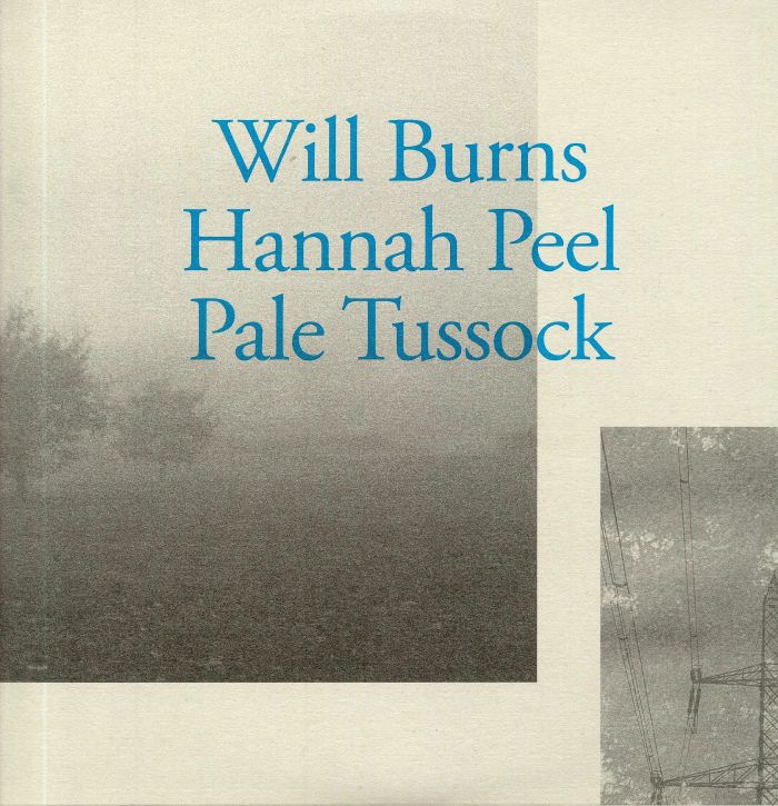 Will Burns | Hannah Peel Pale Tussock