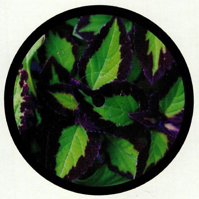 Peculiar Plants PP 002