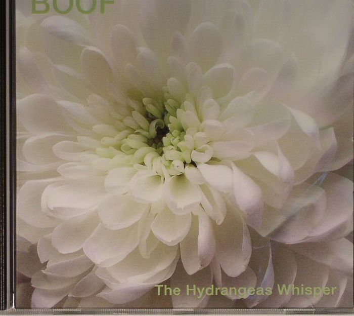 Boof – The Hydrangeas Whisper vinyl cover